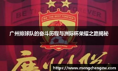 广州排球队的奋斗历程与洲际杯荣耀之路揭秘