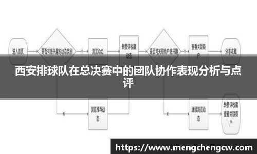 西安排球队在总决赛中的团队协作表现分析与点评